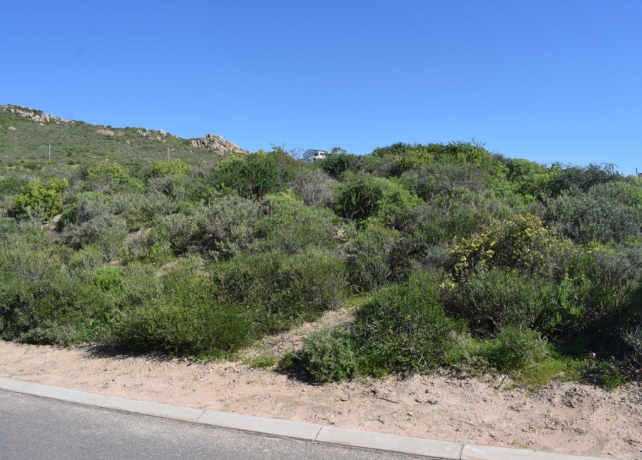 0 Bedroom Property for Sale in St Helena Views Western Cape